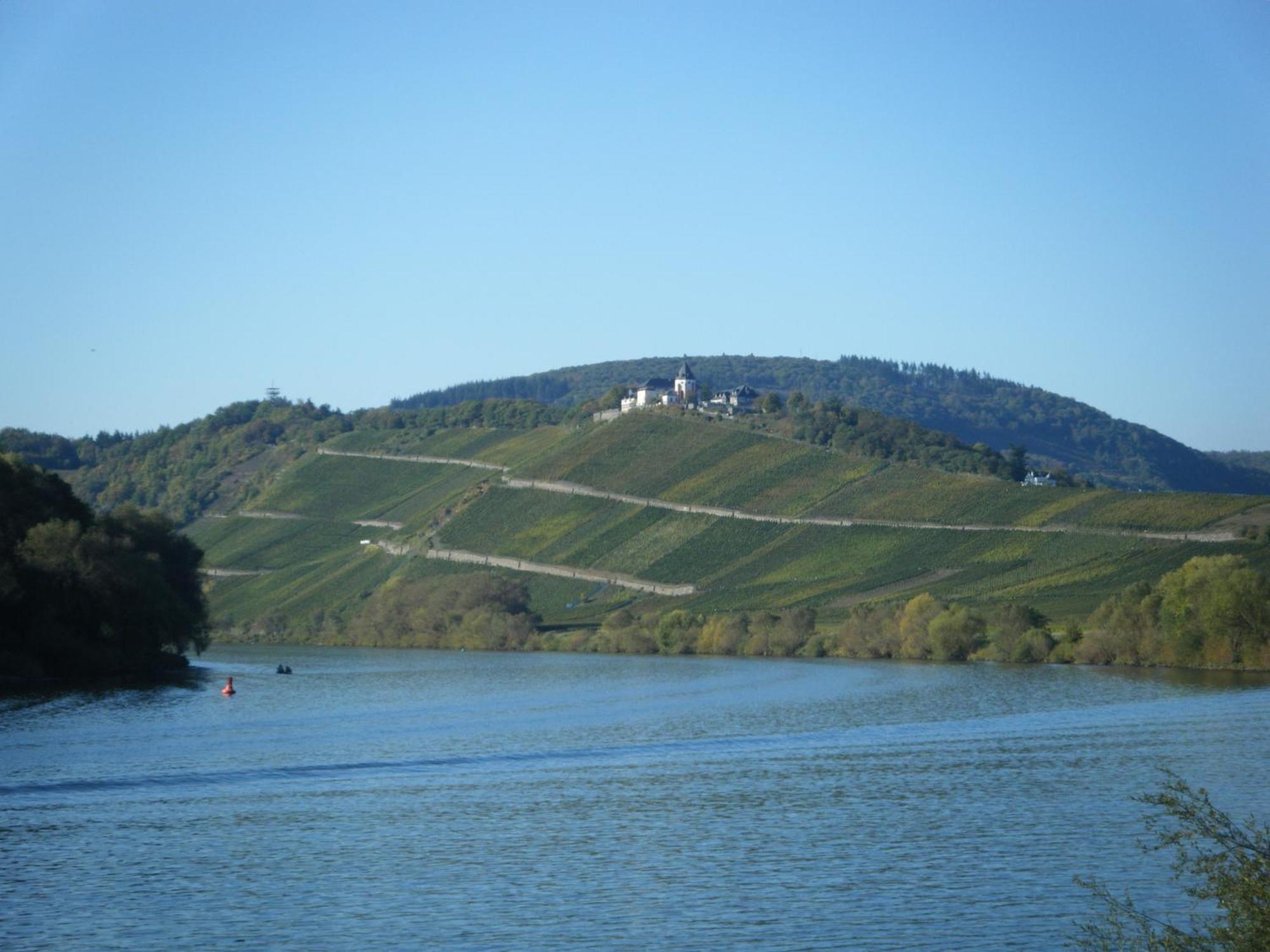 Отель Ferienweingut Hensler Бридель Экстерьер фото