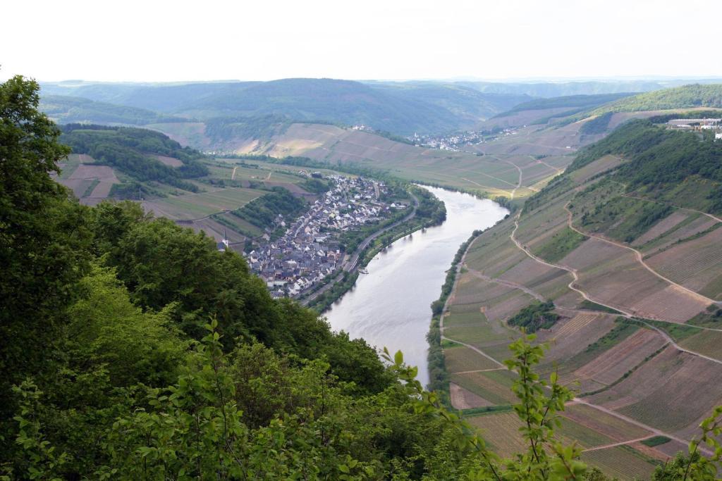 Отель Ferienweingut Hensler Бридель Экстерьер фото